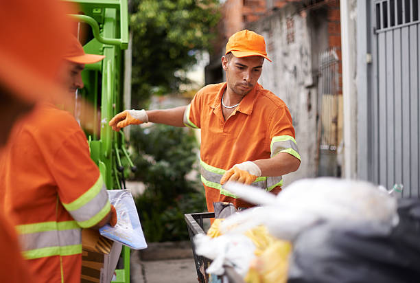 Best Professional Junk Removal  in Westvle, IL
